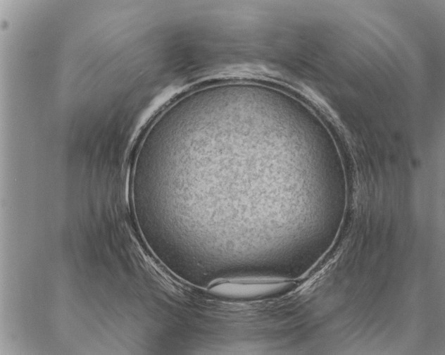 X0000086891224200704231120