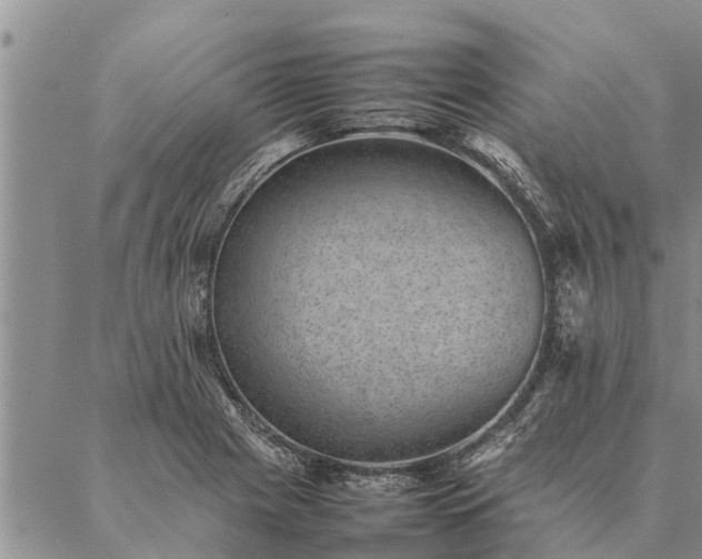 X0000086891225200704231120