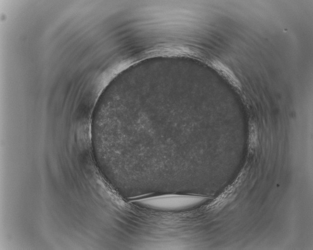 X0000086891226200704231120