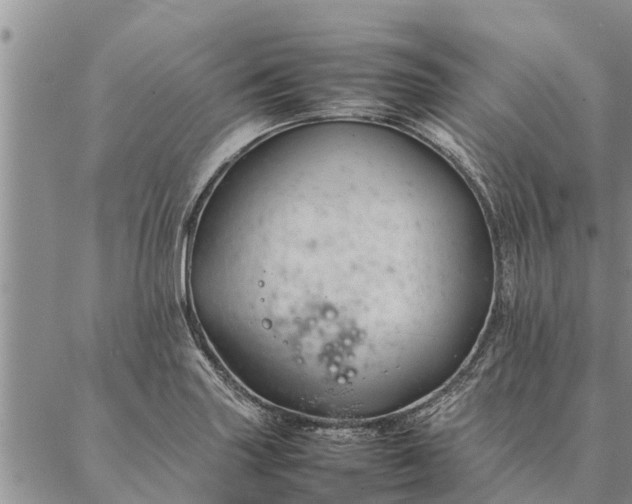 X0000086891227200704231120