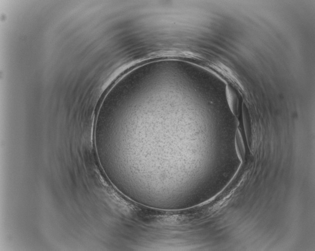 X0000086891228200704231120