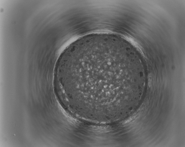 X0000086891229200704231120