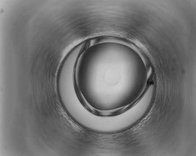 X0000086891230200704231120