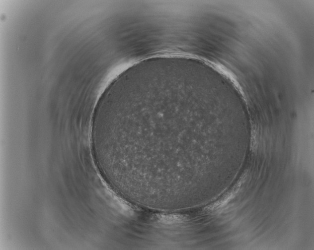 X0000086891231200704231120