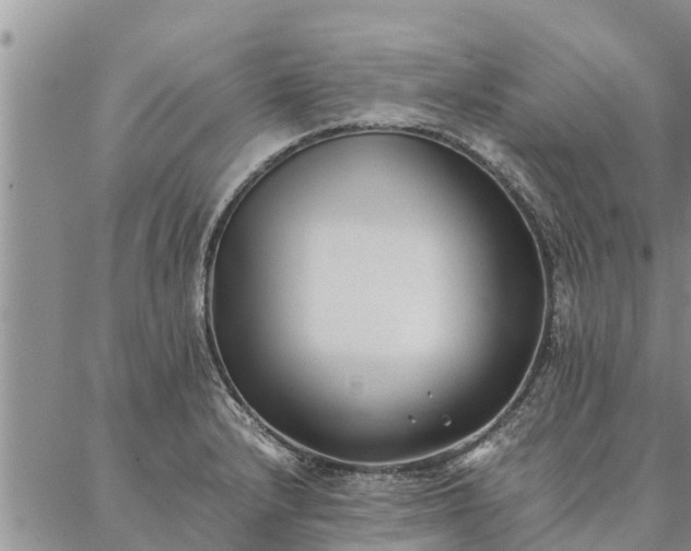 X0000086891232200704231120