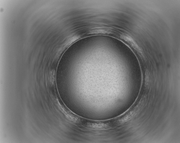 X0000086891233200704231120