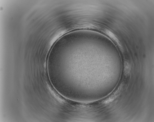 X0000086891234200704231120