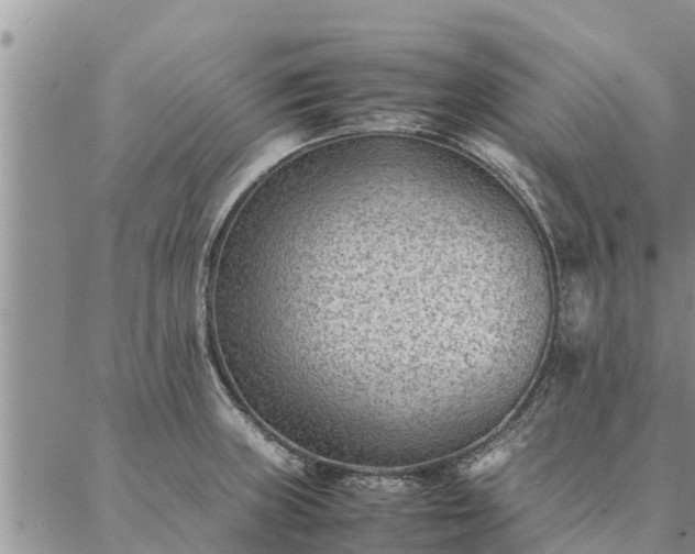 X0000086891235200704231120