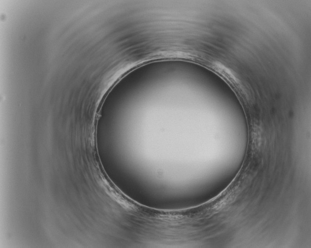 X0000086891236200704231120