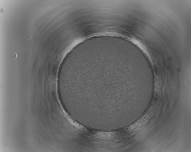 X0000086891237200704231120