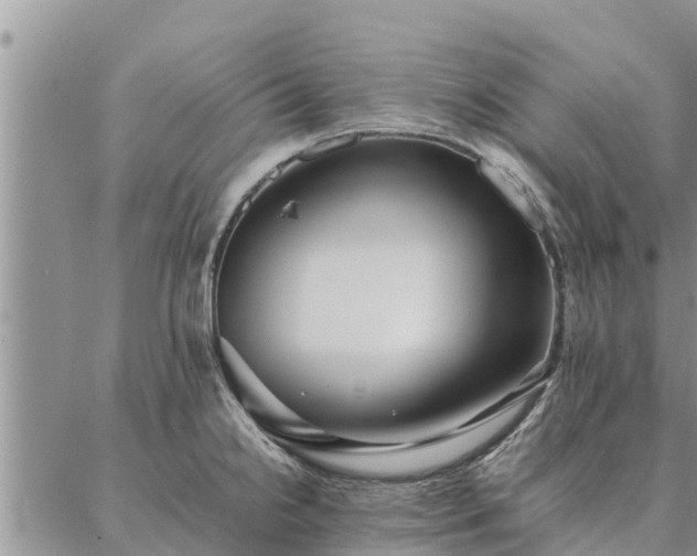 X0000086891238200704231120