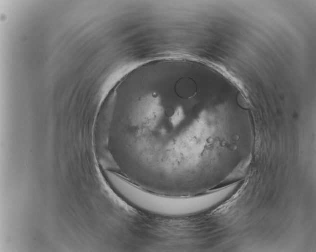 X0000086891239200704231120