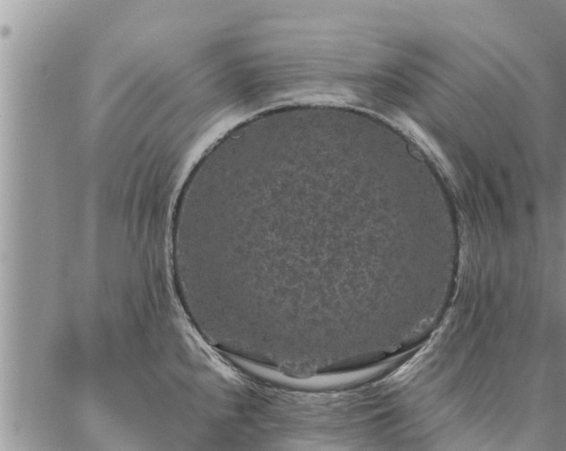 X0000086891240200704231120