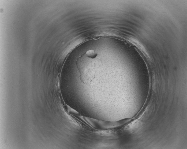 X0000086891241200704231120