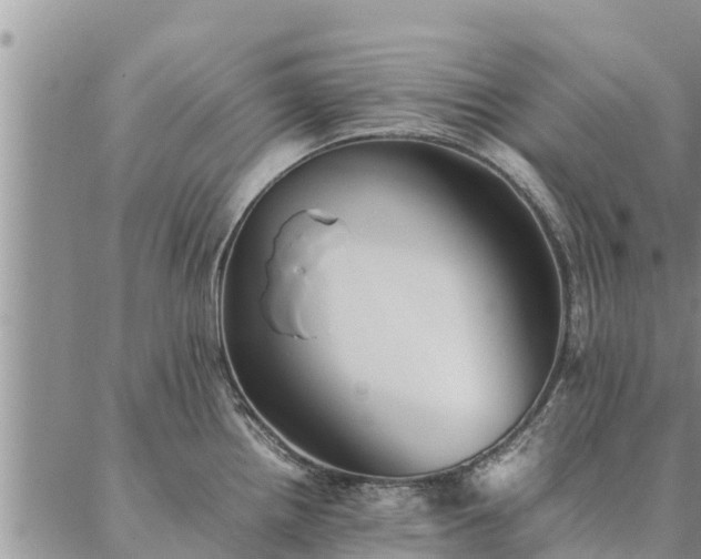 X0000086891242200704231120