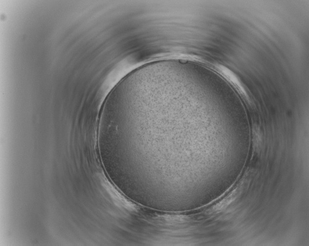 X0000086891244200704231120