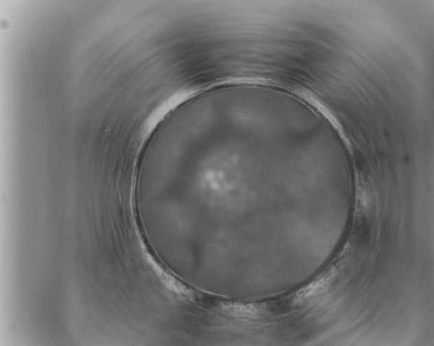 X0000086891245200704231120