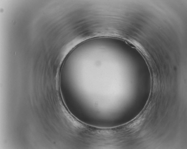 X0000086891246200704231120