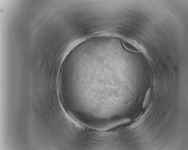 X0000086891247200704231120