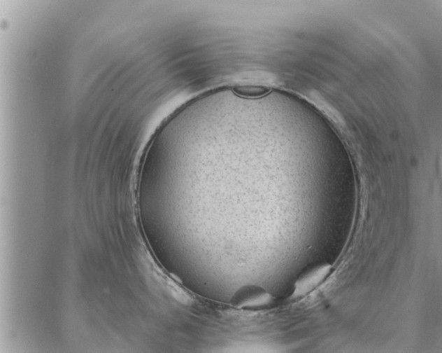 X0000086891248200704231120