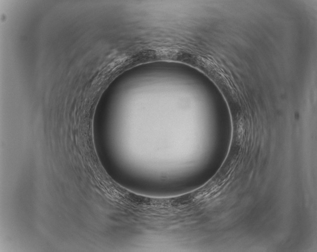 X0000086891249200704231119