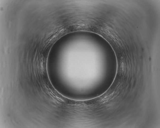 X0000086891250200704231119