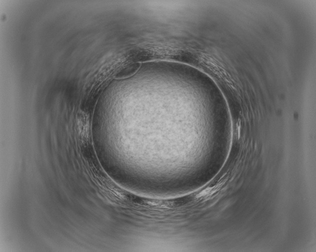 X0000086891251200704231119