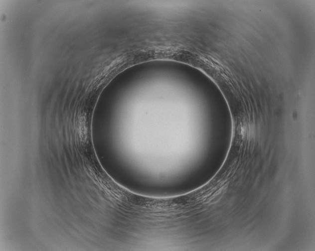 X0000086891252200704231119