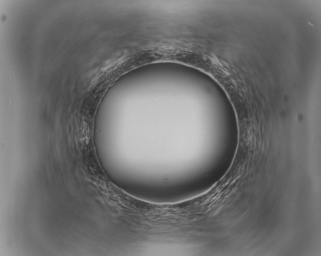 X0000086891253200704231119