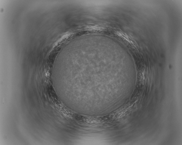 X0000086891254200704231119