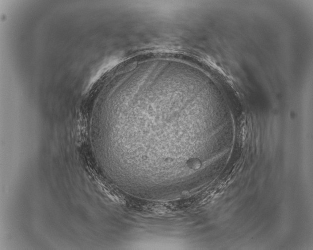 X0000086891255200704231119