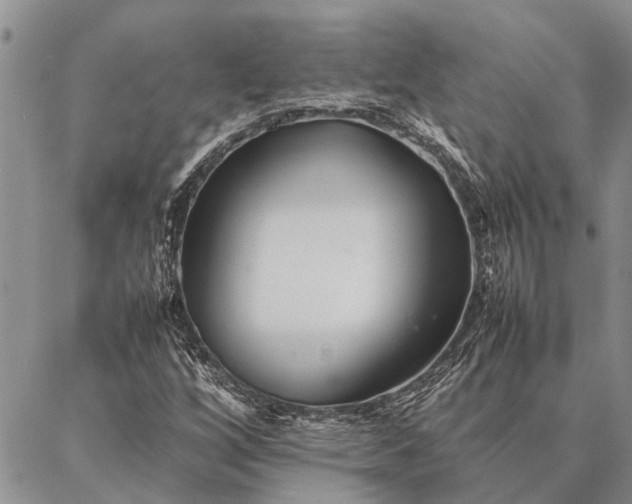 X0000086891256200704231119