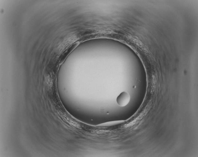 X0000086891257200704231119