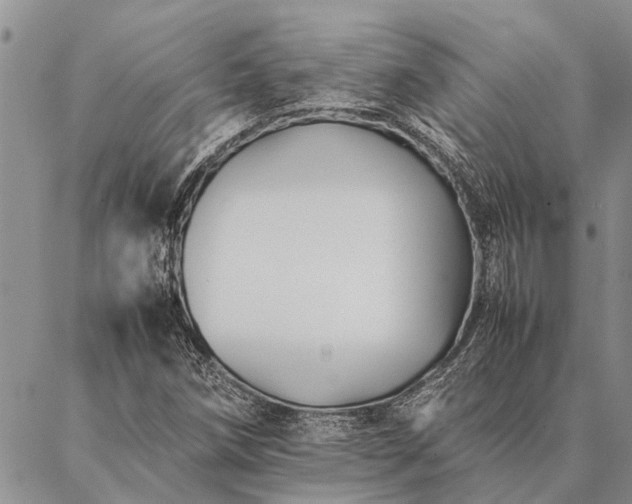 X0000086891258200704231119