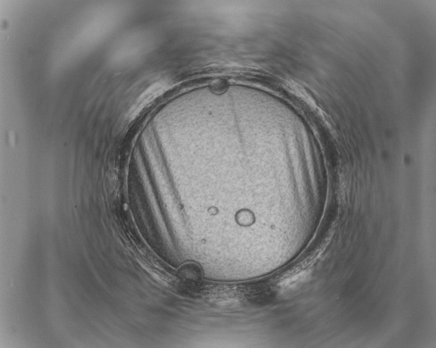 X0000086891259200704231119