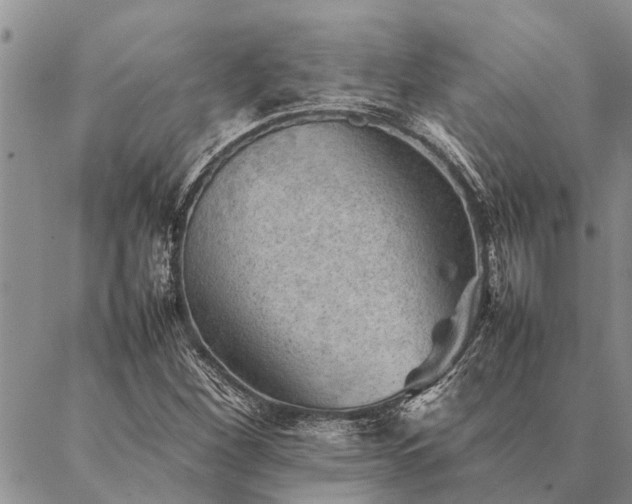 X0000086891260200704231119