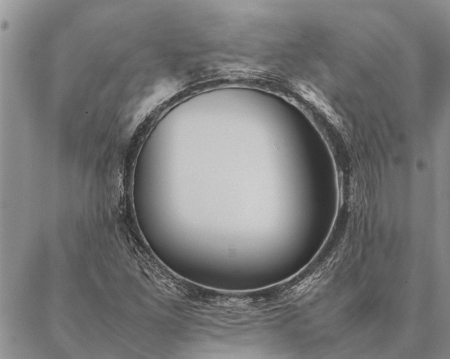 X0000086891261200704231119