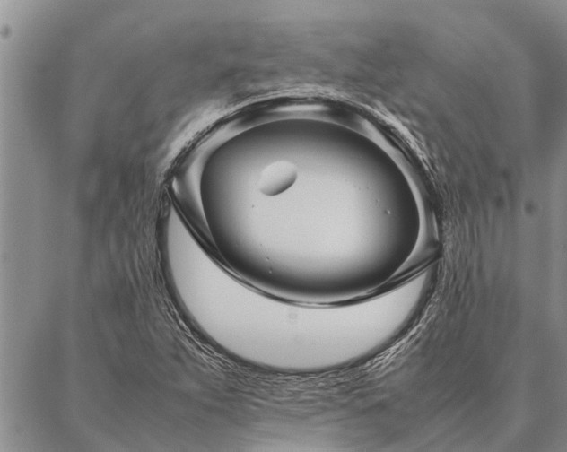 X0000086891263200704231119