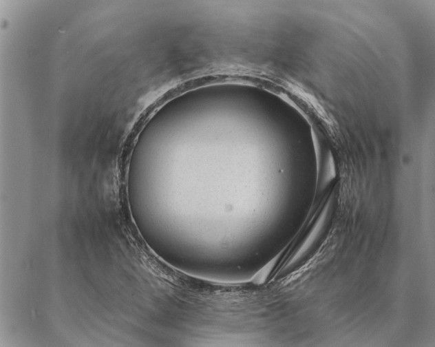 X0000086891264200704231119