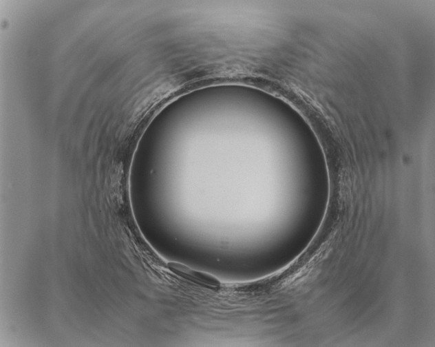 X0000086891265200704231119