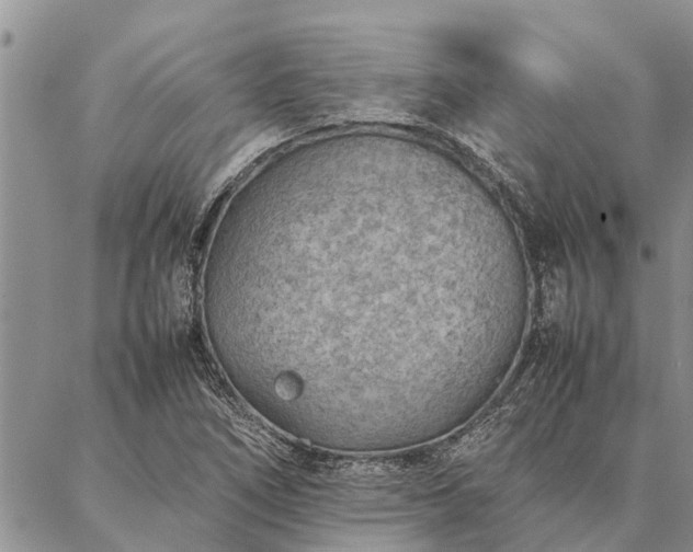 X0000086891266200704231119