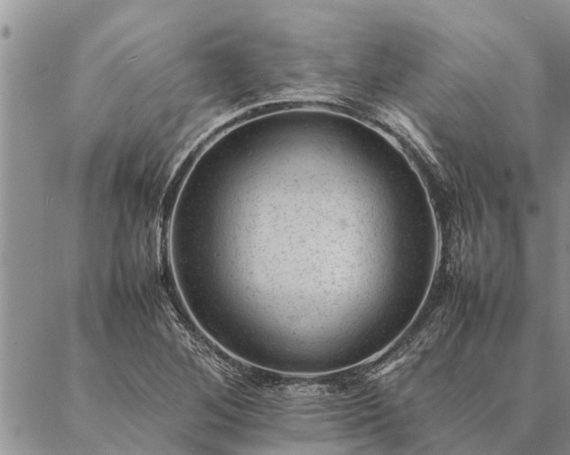 X0000086891268200704231119