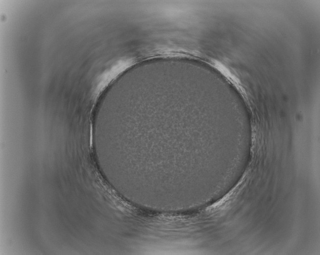 X0000086891269200704231119