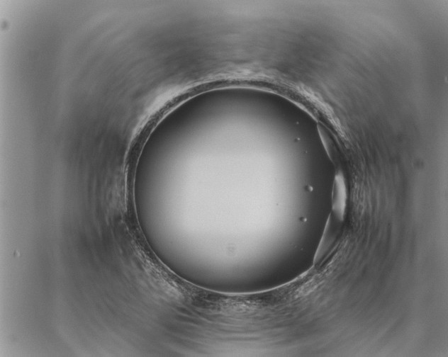 X0000086891270200704231119