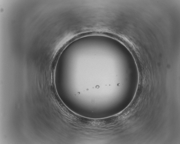 X0000086891271200704231119