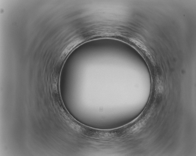 X0000086891273200704231119