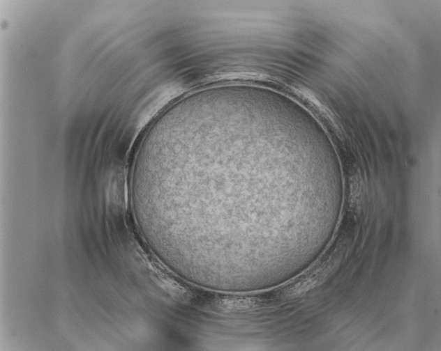 X0000086891274200704231119