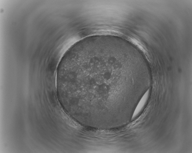 X0000086891275200704231119