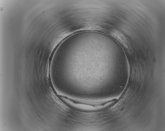 X0000086891276200704231119