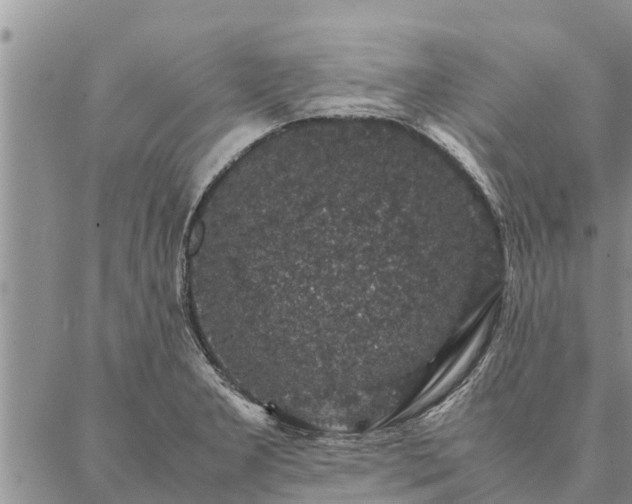 X0000086891277200704231119